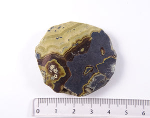 Schalenblende - Sphalerit - Scheibe